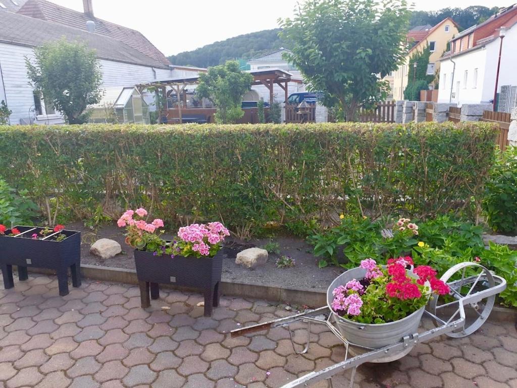 Apartment In Saxony In A Charming Area Freital Dış mekan fotoğraf